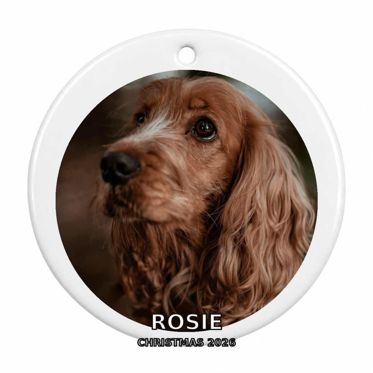 Personalised Pet Photo Christmas Decoration